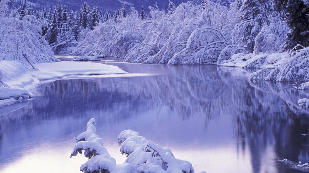 Winter's Tranquil River Reflection wallpaper