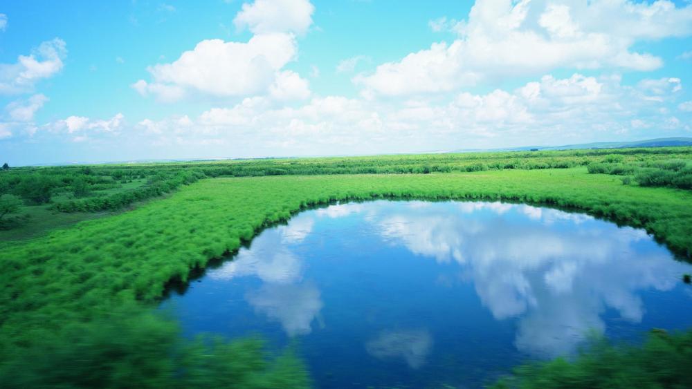 Tranquil Reflections in a Verdant Lacustrine Plain wallpaper