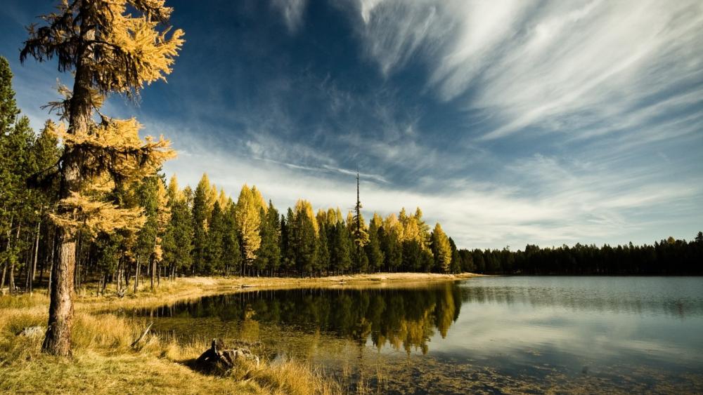 Serene Wilderness Reflections wallpaper