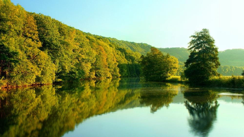 Serene Forest River Reflection wallpaper