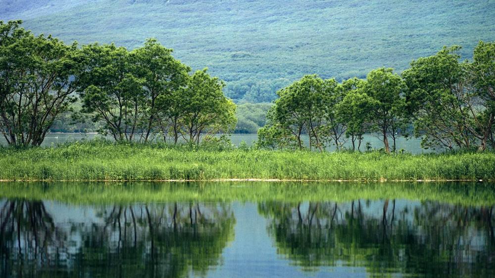 Tranquil Lake With Lush Greenery Reflections wallpaper