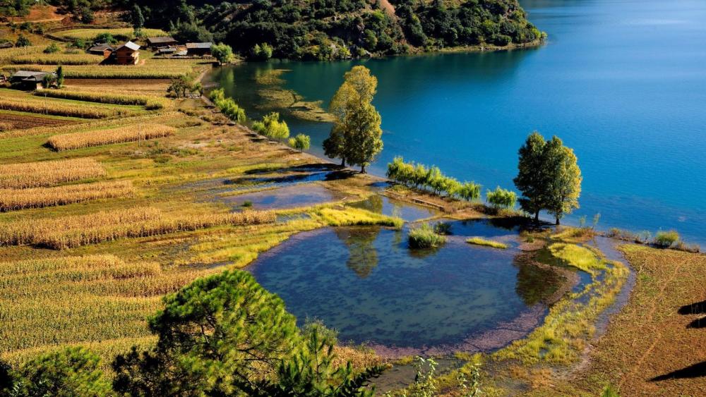 Lakeshore Serenity Captured from Above wallpaper