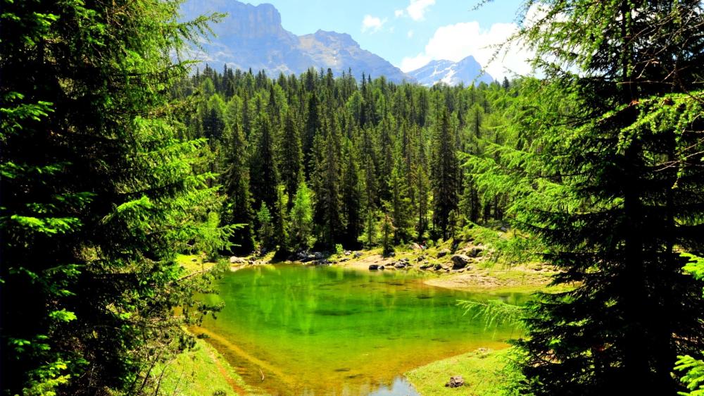 Serene Reflection in a Forested Valley wallpaper