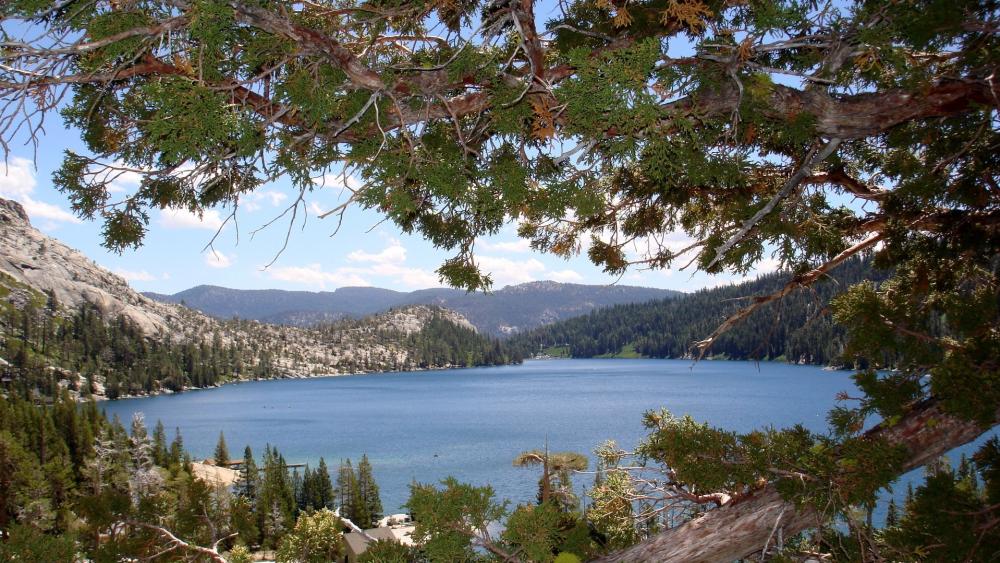 Tranquil Lake Framed by Verdant Foliage wallpaper