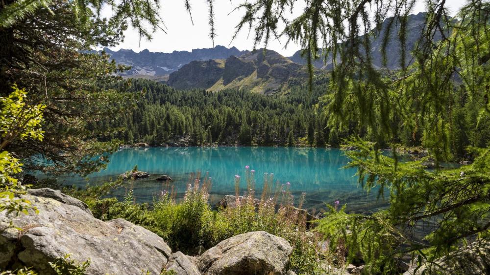 Serene Beauty of Lago di Saoseo wallpaper