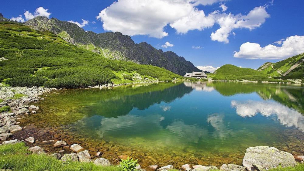 Serene Summer Reflection at Przedni Staw Lake wallpaper