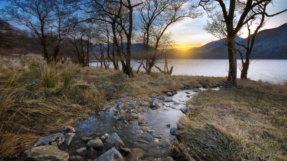 Sunlit Tranquility by the Water's Edge wallpaper