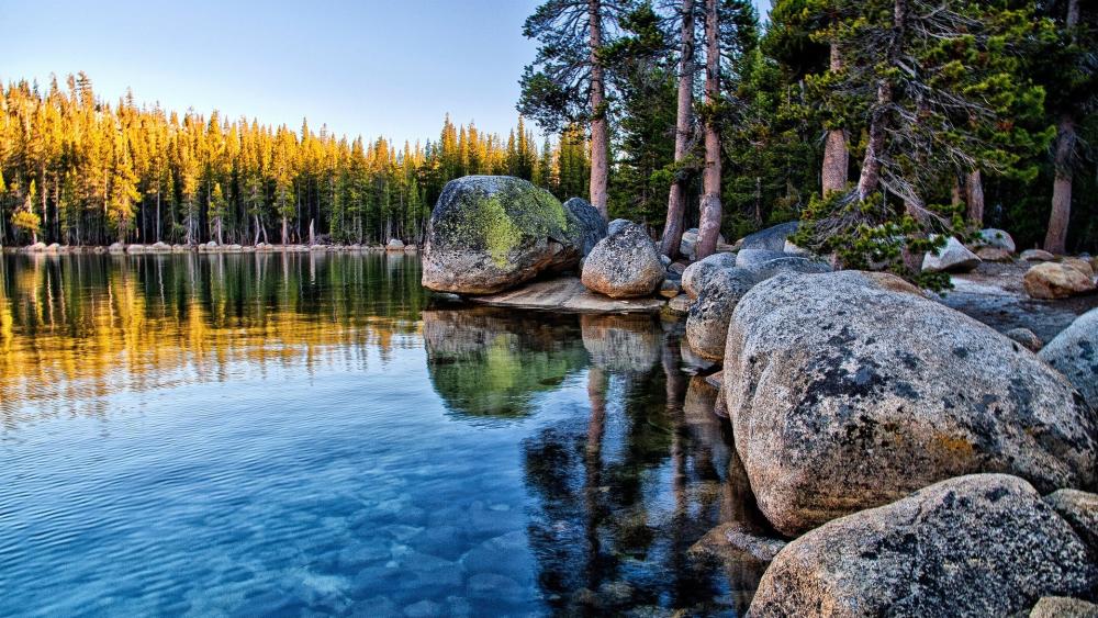 Lakeside Serenity with Forest Reflections wallpaper
