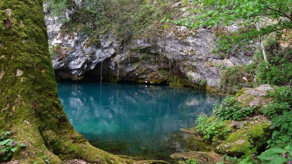 Serene Hidden Lake Oasis wallpaper