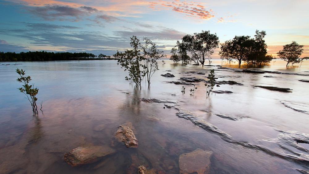Serene Dusk Reflections on a Flooded Lake Shore wallpaper