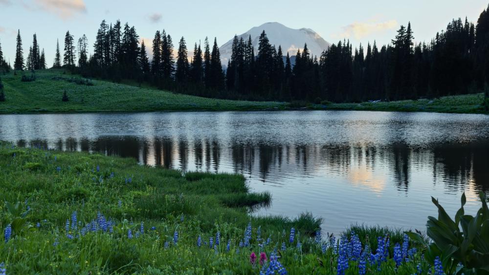 Tranquil Lake Amidst Majestic Mountains and Forests wallpaper
