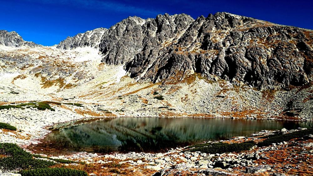 High Tatras Tranquility Serene Lake Landscape wallpaper