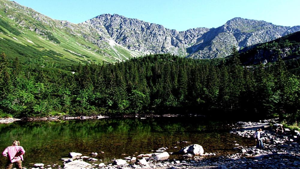 Tranquil Beauty of Ťatliakovo Pleso in Slovakia wallpaper