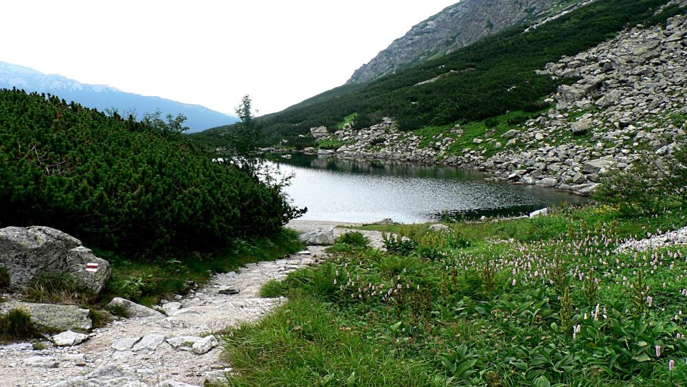 Czarny Staw's Serene Mountain Beauty wallpaper