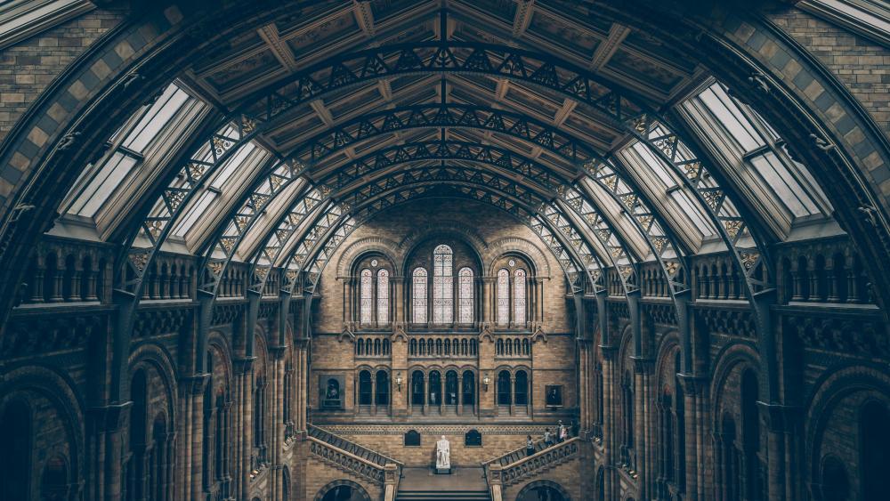 Majestic Symmetry of Natural History Museum Ceiling wallpaper