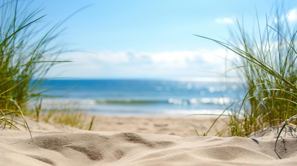 Summer Serenity on a Sandy Shoreline wallpaper