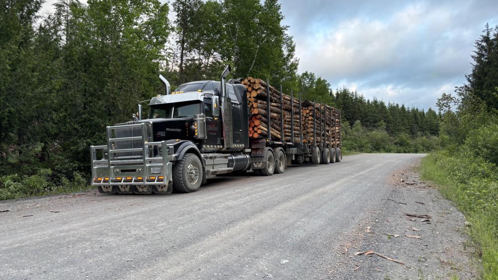 Western Star Logging Truck in 4K wallpaper