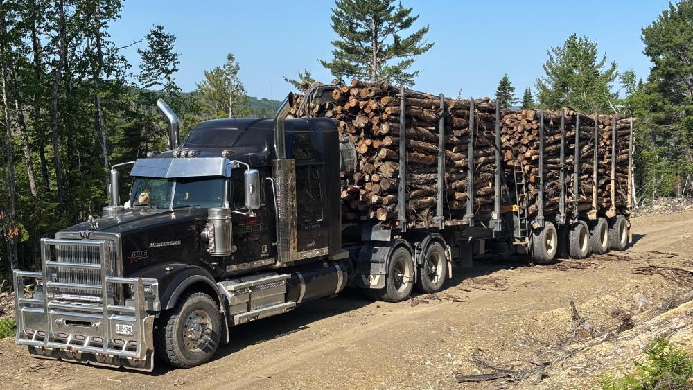Powerful Western Star Hauling Heavy Lumber wallpaper