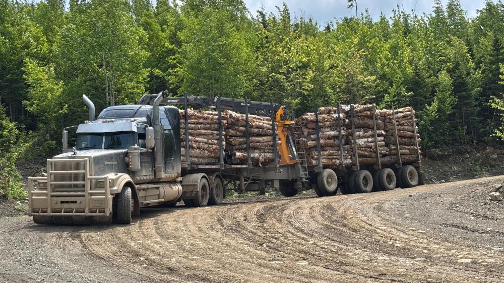 Rugged Haul: Timber on the Move wallpaper