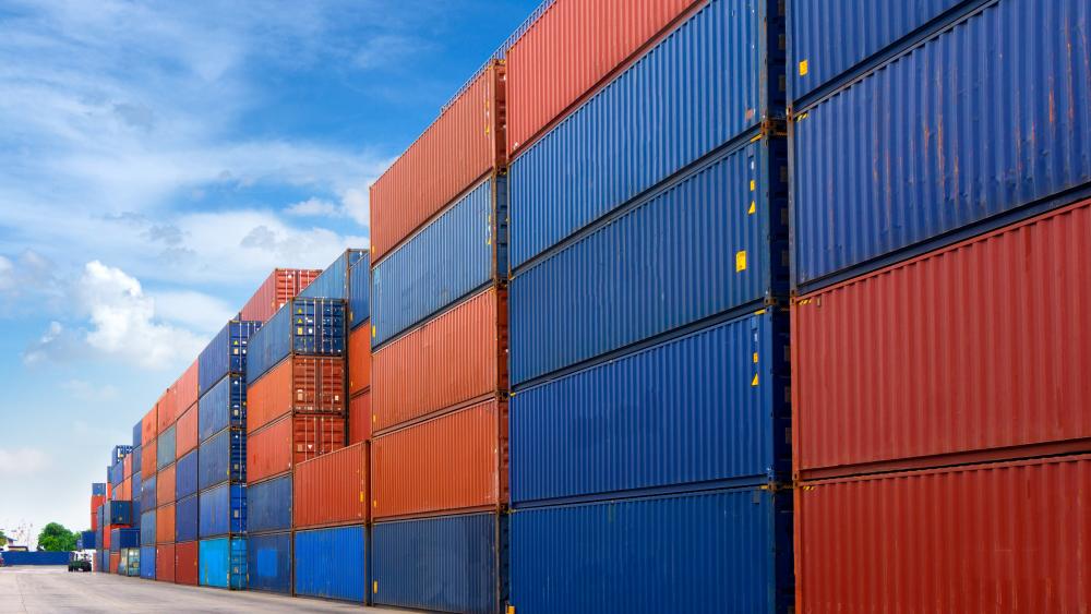 Shipping Containers Stacked in a Busy Port wallpaper