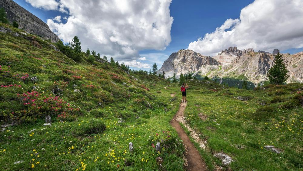 Pathway to Serenity in the Dolomites wallpaper