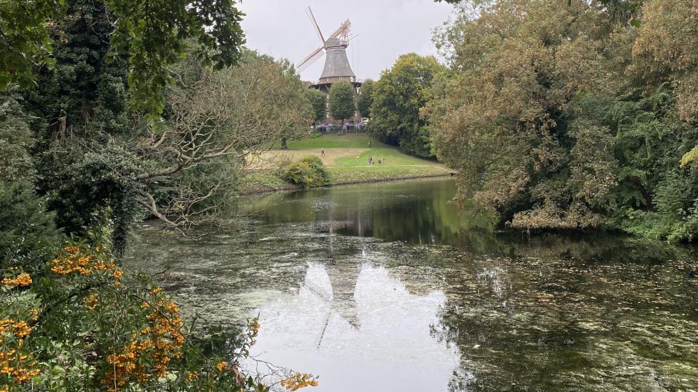 Serene Pond with Windmill Landscape Views wallpaper