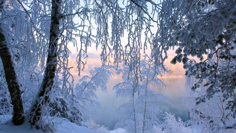 Winter Serenity by the Frozen Lake wallpaper