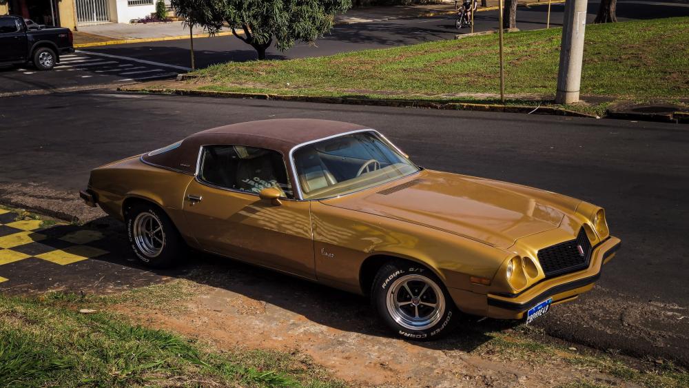 Vintage Muscle Car Elegance in the Sunlight wallpaper