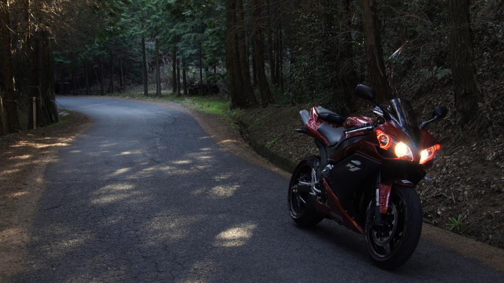 Yamaha Motorcycle Adventure in the Forest wallpaper