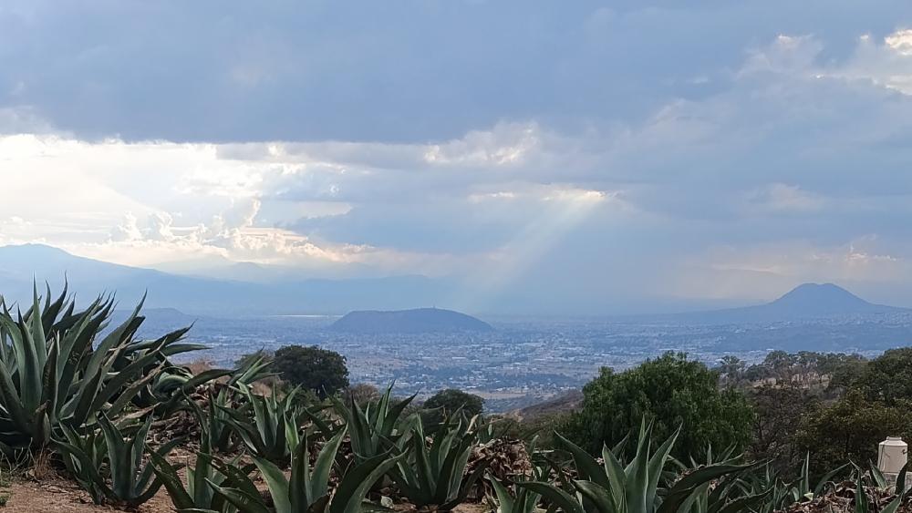 Majestic Mountain View with Agave at Dawn wallpaper