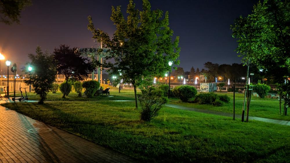 Serene Nightscape in a City Park wallpaper