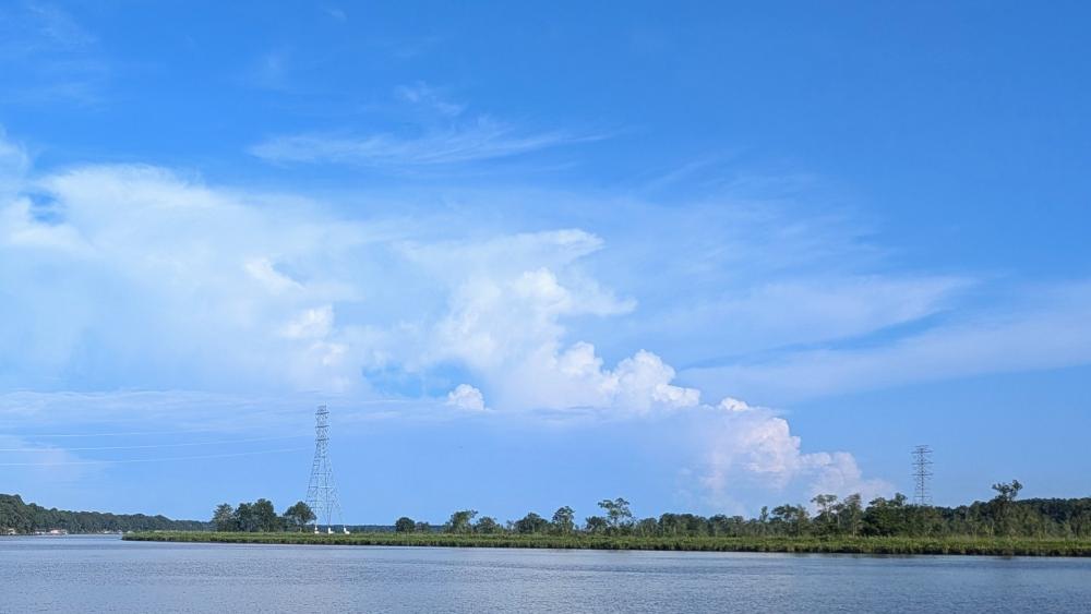 Wallpaper from nature category