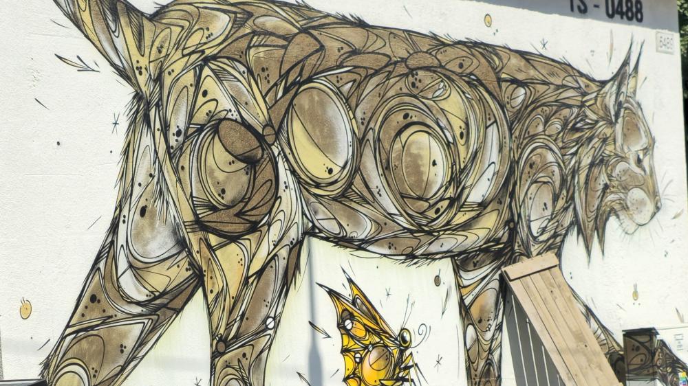Artistic Graffiti in Penelles Streets wallpaper