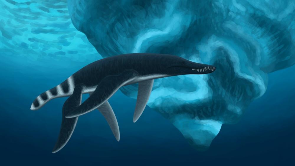 Pliosaurus funkei wallpaper