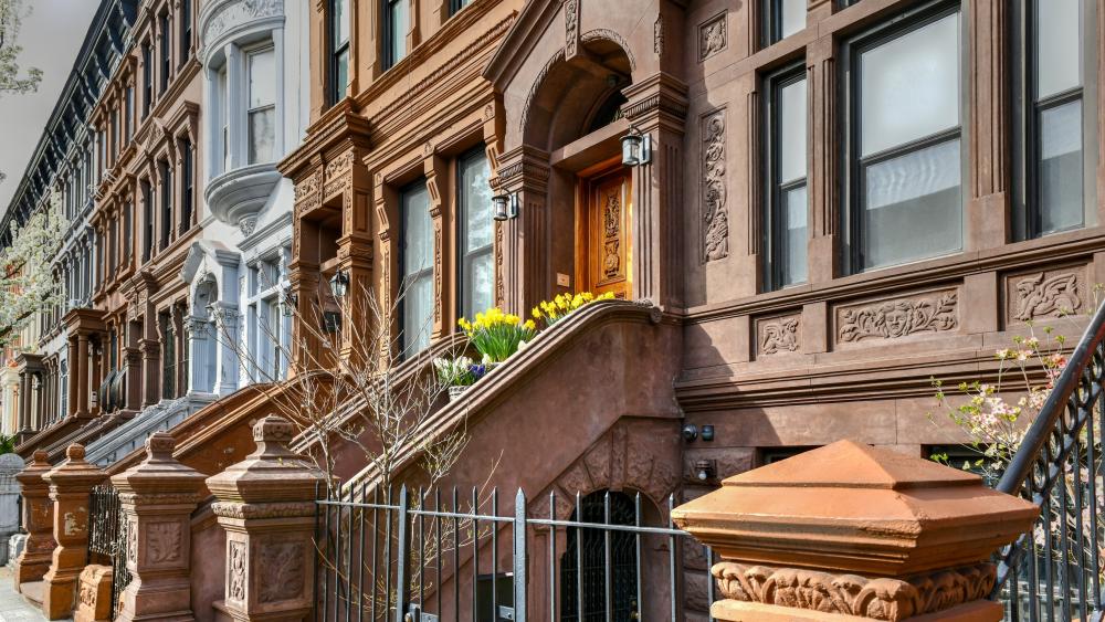 Charming Urban Brownstones in Springtime Bloom wallpaper