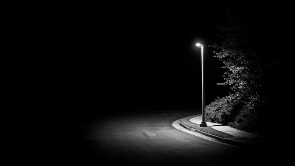 Solitary Glow in the Midnight Darkness wallpaper