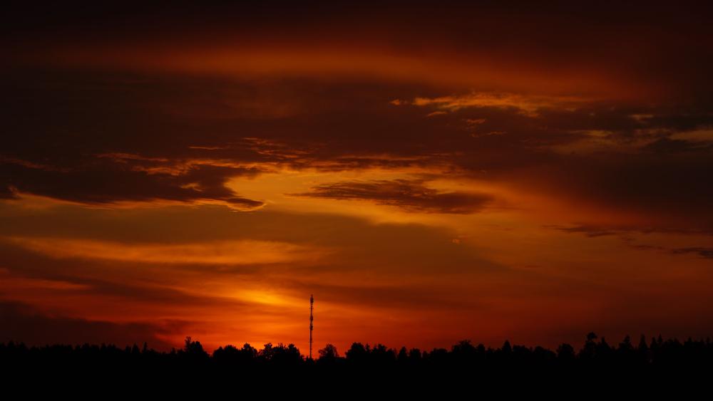 Burning Sunset Silhouette in 4K Clarity wallpaper