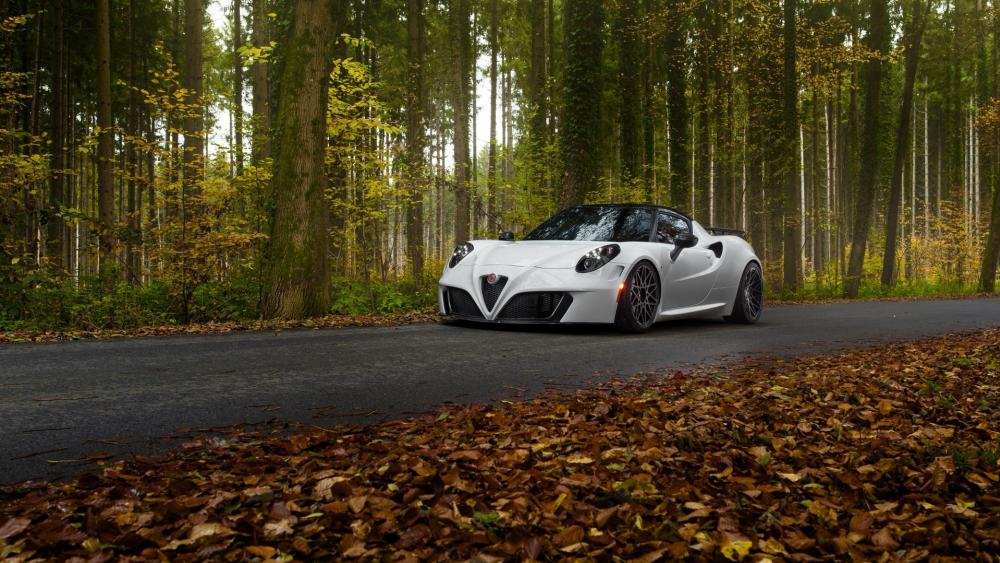 Alfa Romeo 4C Glides Through Forest Splendor wallpaper