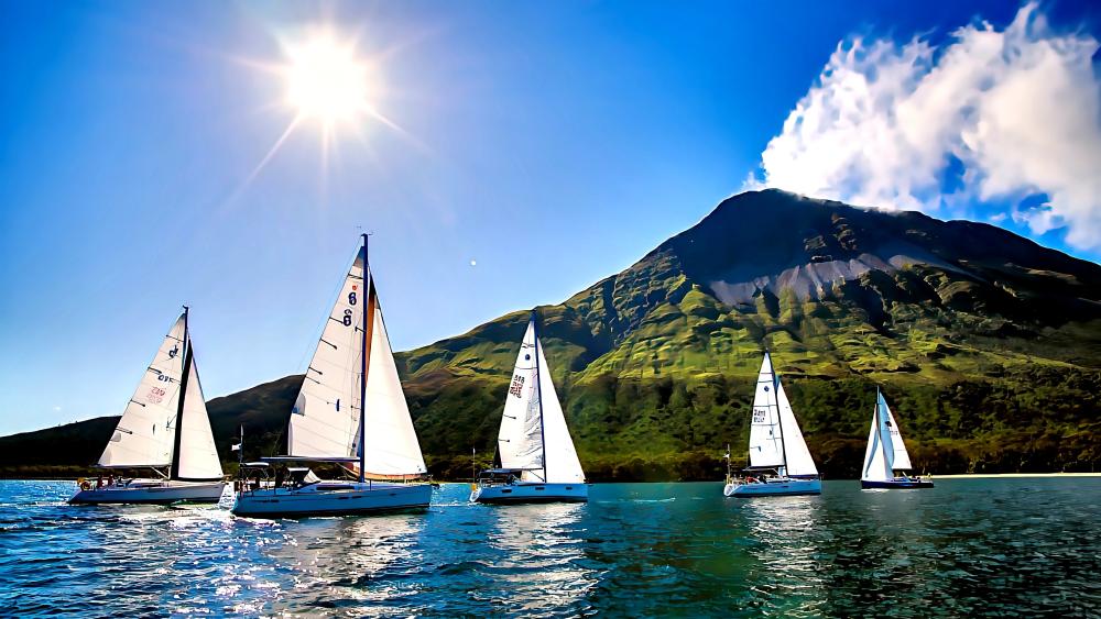 Sailing Adventure Under Sunlit Skies wallpaper