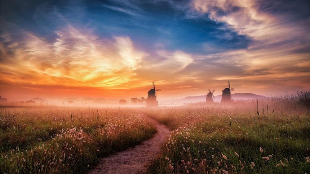 Serene Sunrise Over Rural Windmills wallpaper