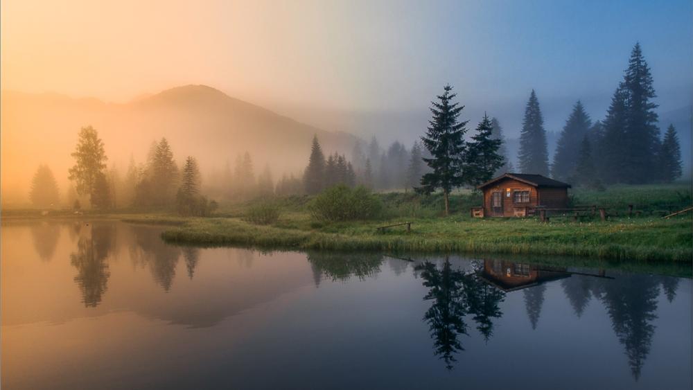 Misty Morning Serenity by the Lake wallpaper
