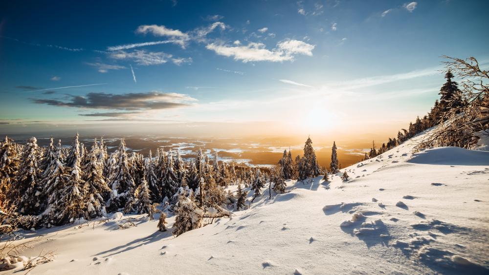 Winter Sunrise Over Snowy Wilderness wallpaper