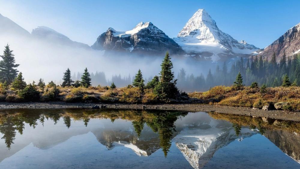 Mount Assiniboine Reflections in Tranquil Lake wallpaper