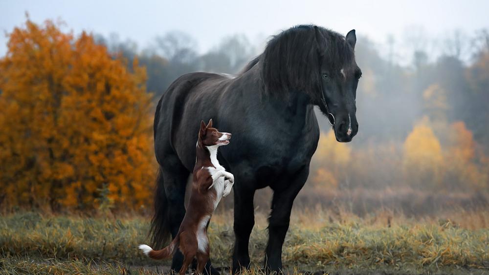 Majestic Bond in Autumn Harmony wallpaper
