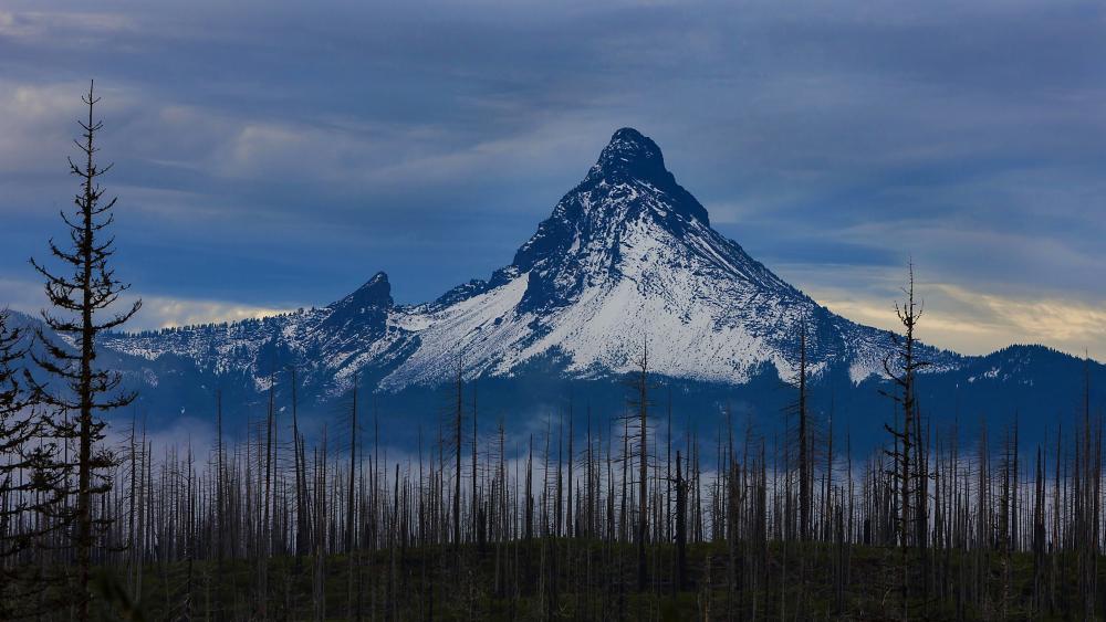 Majestic Peak of Mount Washington in Oregon wallpaper