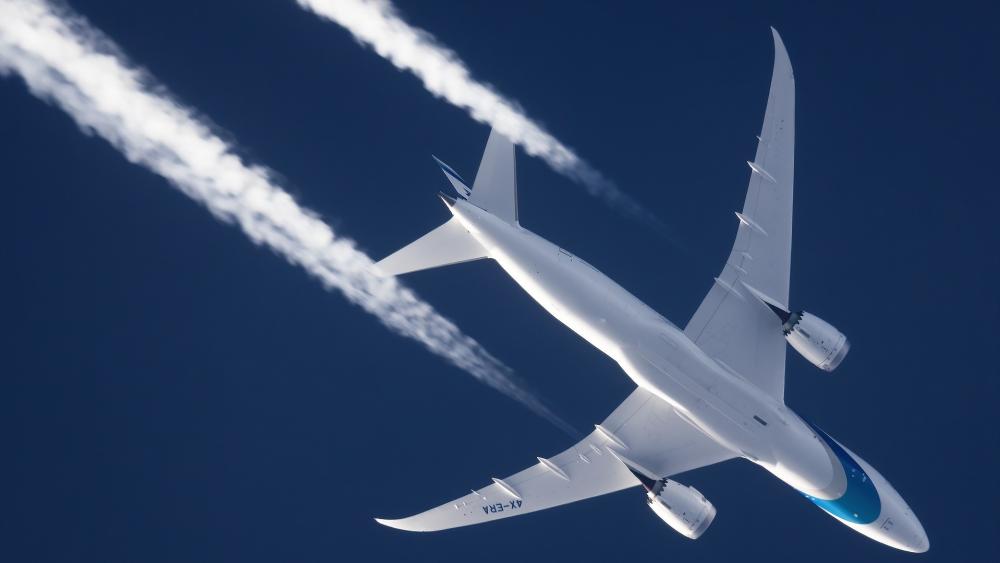 Boeing 787 Dreamliner in Flight Elegance wallpaper