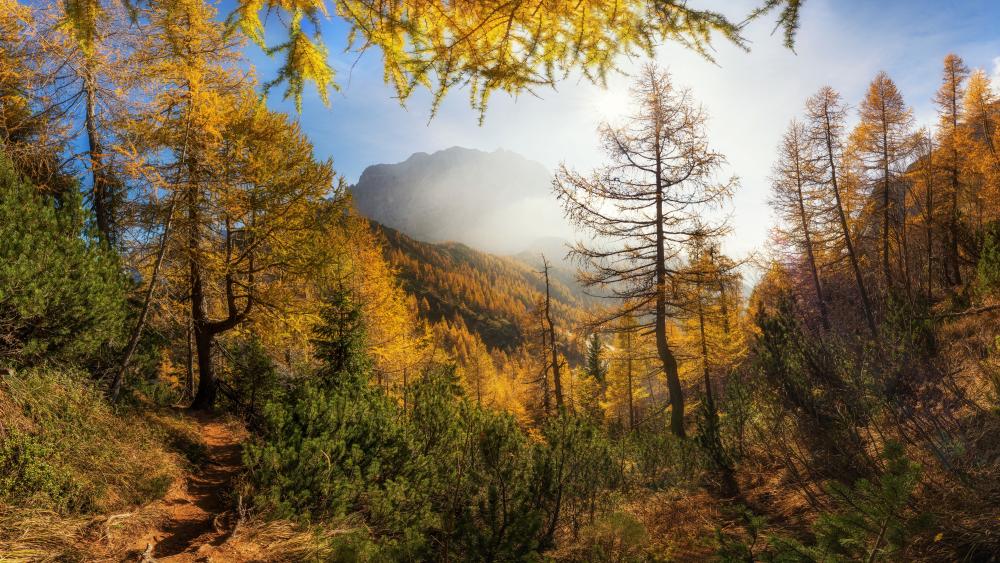 Golden Autumn Dreamscape in a Misty Valley wallpaper
