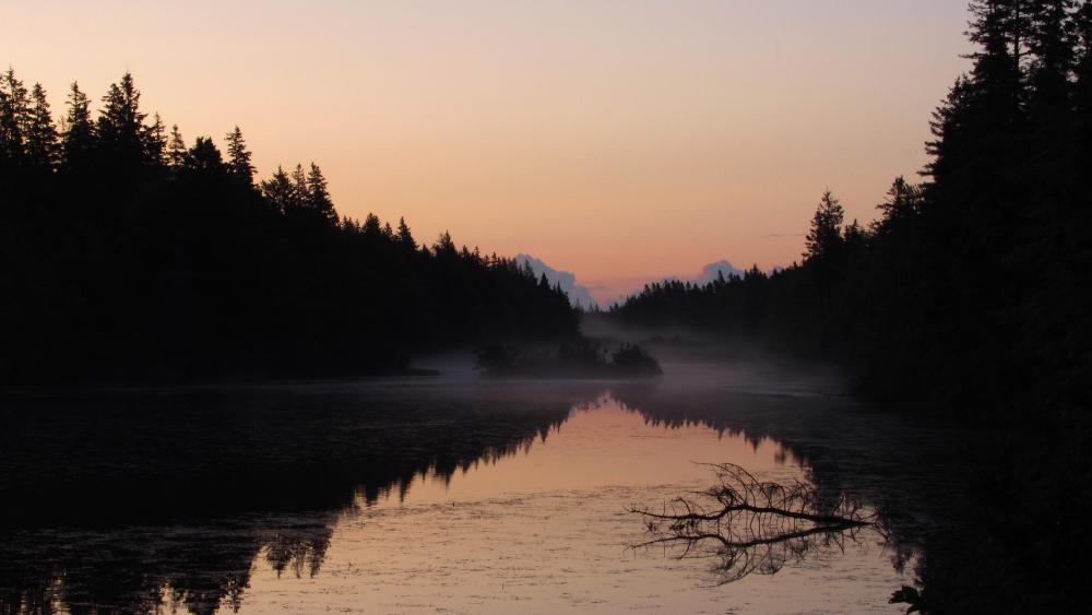Foggy Sunrise wallpaper