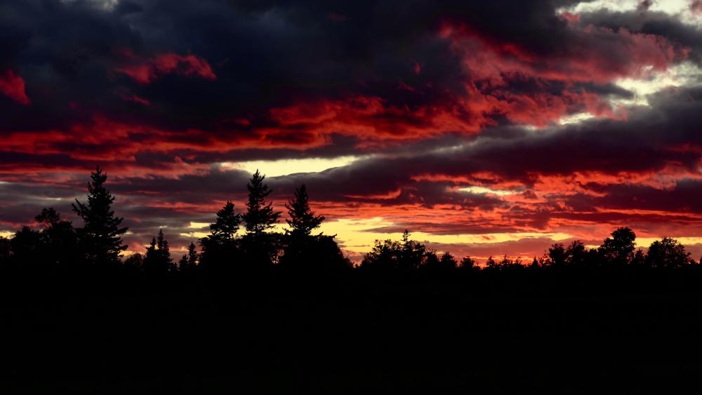 Red Sunset Clouds wallpaper