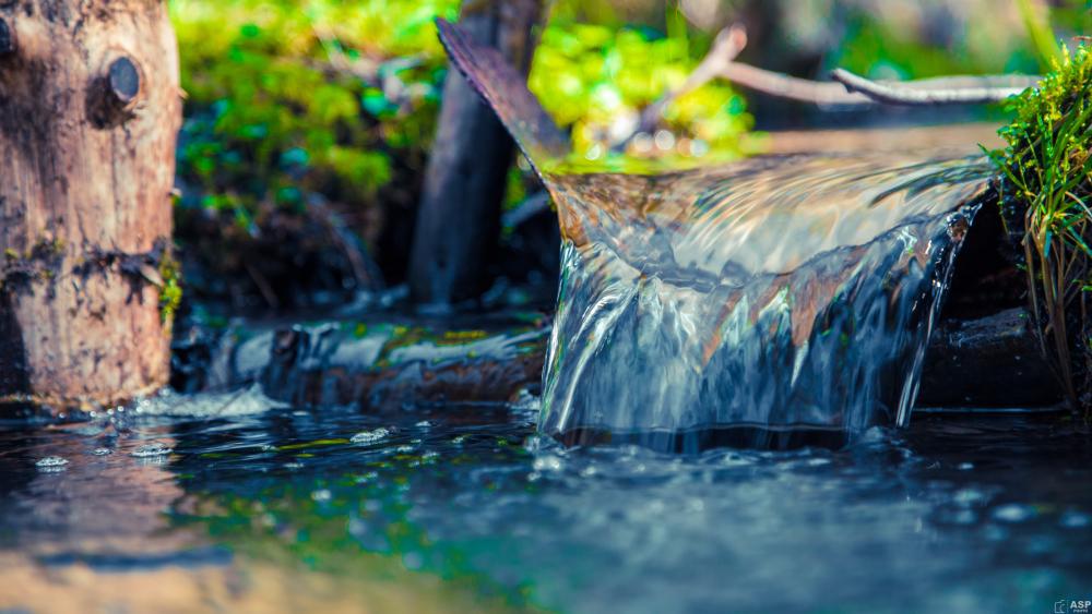 Serenity of a Sunlit Forest Creek wallpaper